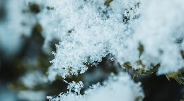 Hinweise für das Winterwetter