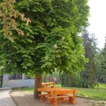 Neue Sitzbänke im Grünen Klassenzimmer