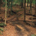 Olympiacross im Muldental